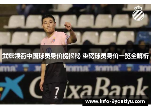 武磊领衔中国球员身价榜揭秘 重磅球员身价一览全解析