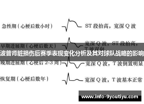 波普肾脏损伤后赛季表现变化分析及其对球队战略的影响